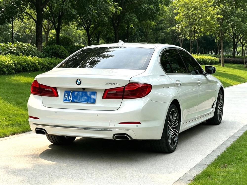 BMW BMW 5-Series
