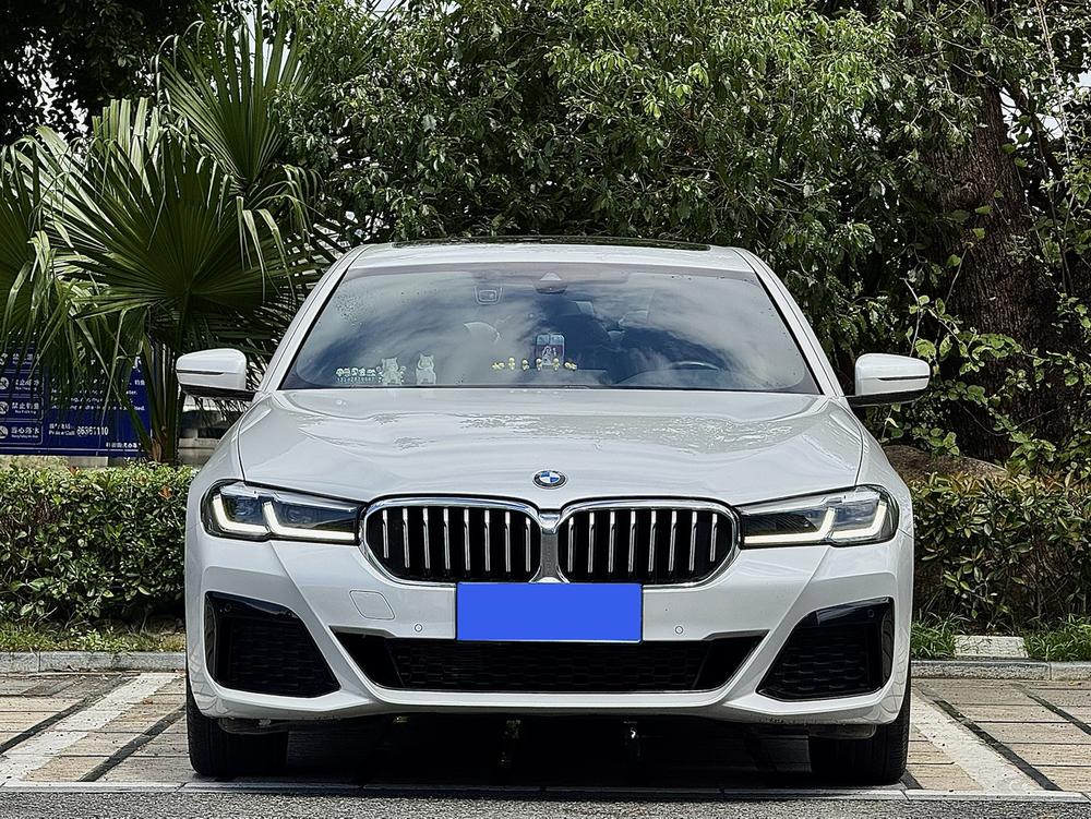 BMW BMW 5-Series