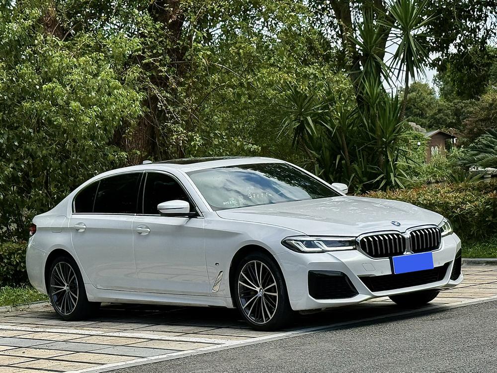 BMW BMW 5-Series