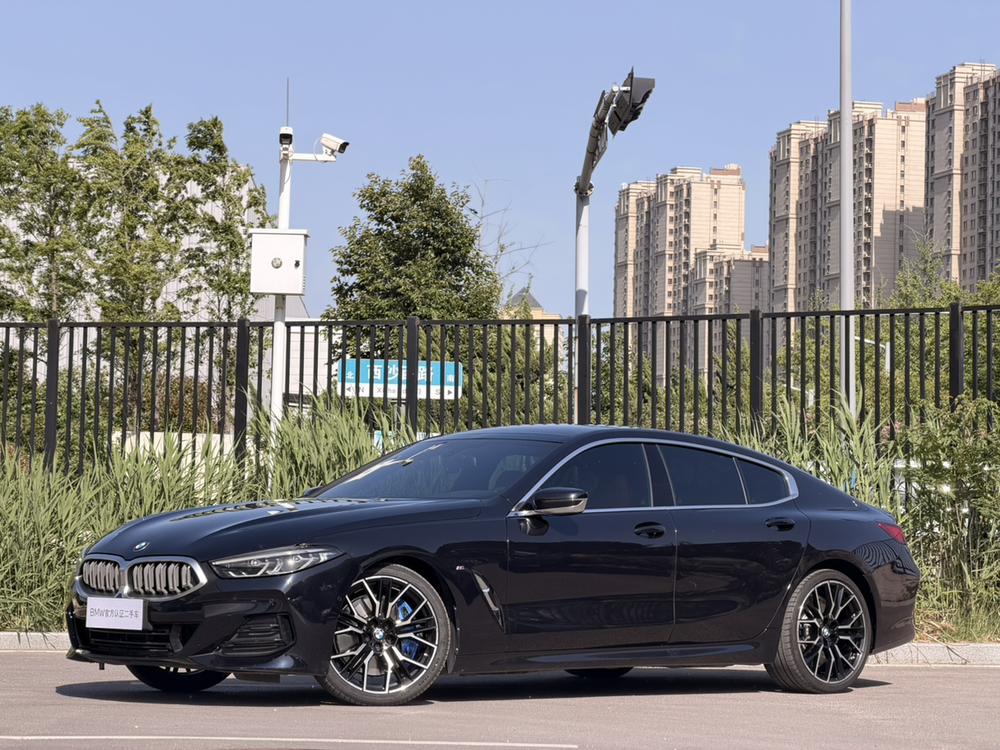 BMW BMW 8-Series