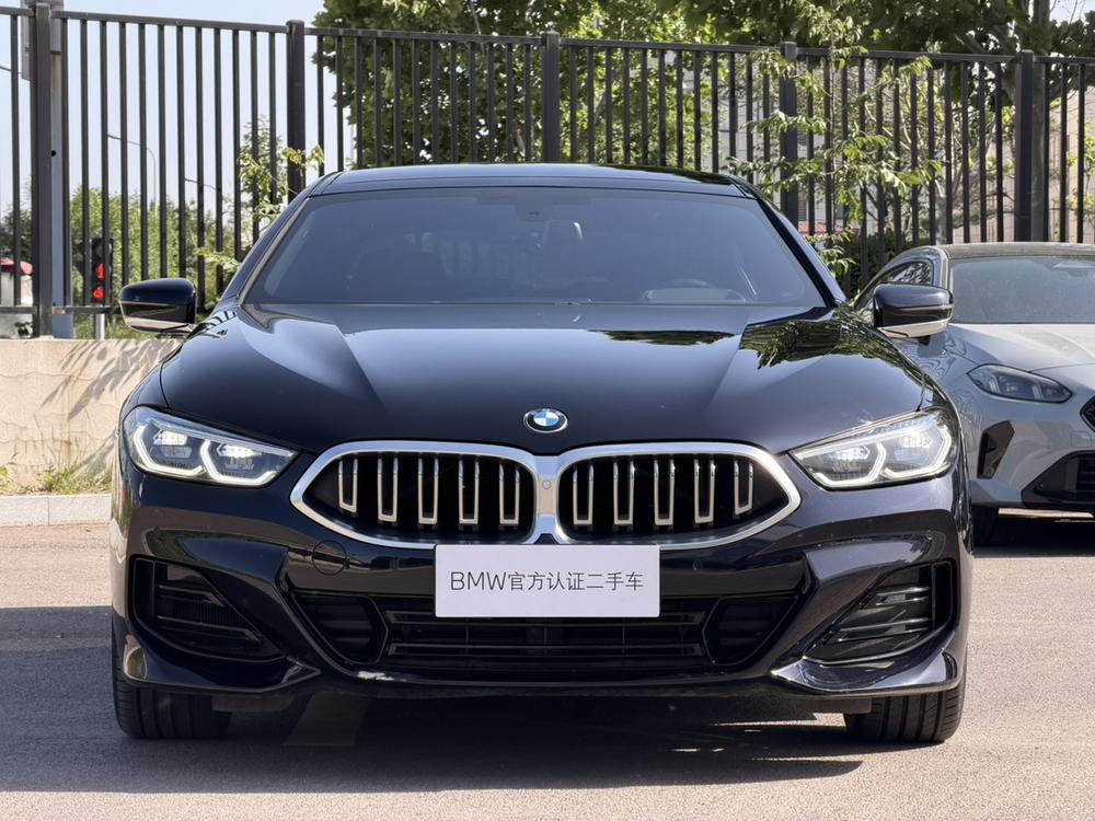 BMW BMW 8-Series