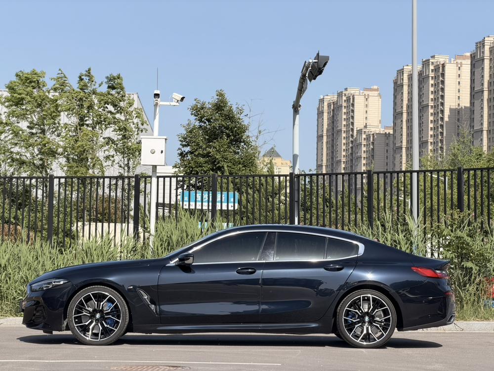 BMW BMW 8-Series