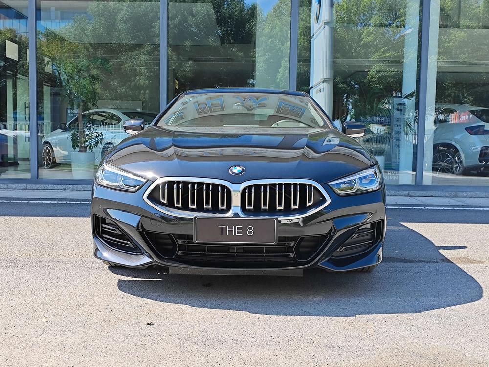 BMW BMW 8-Series
