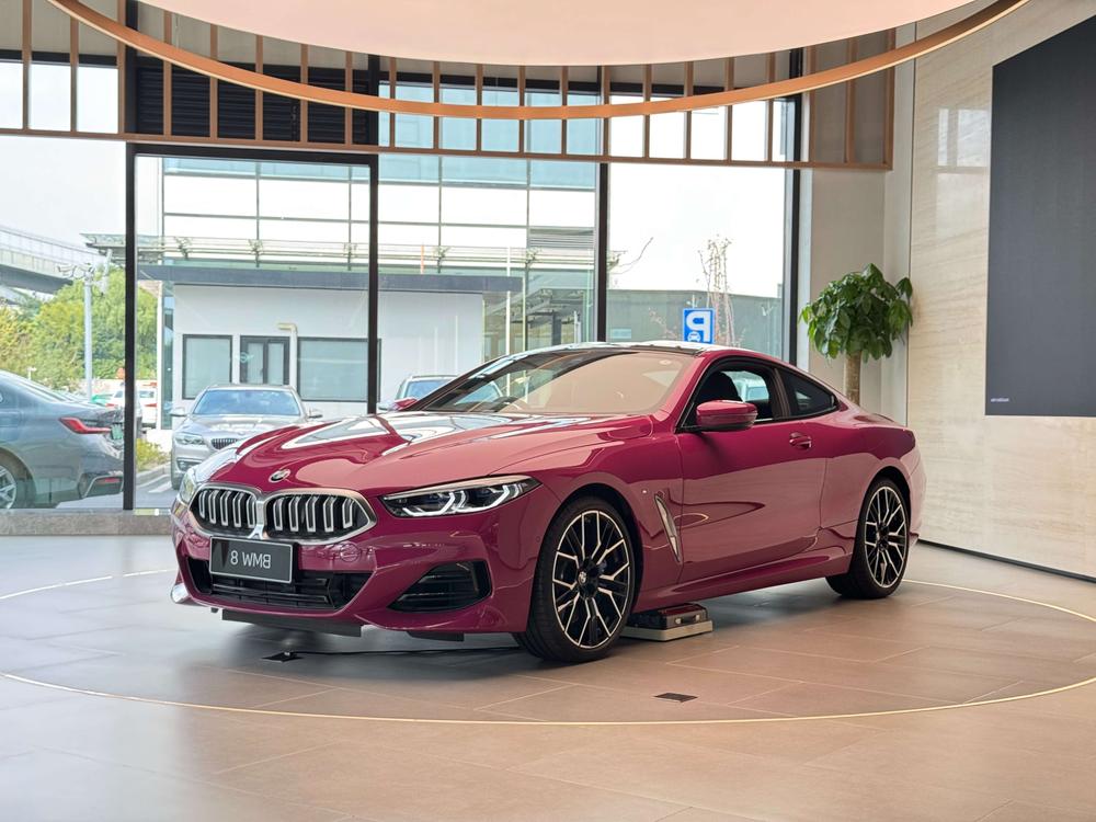 BMW BMW 8-Series