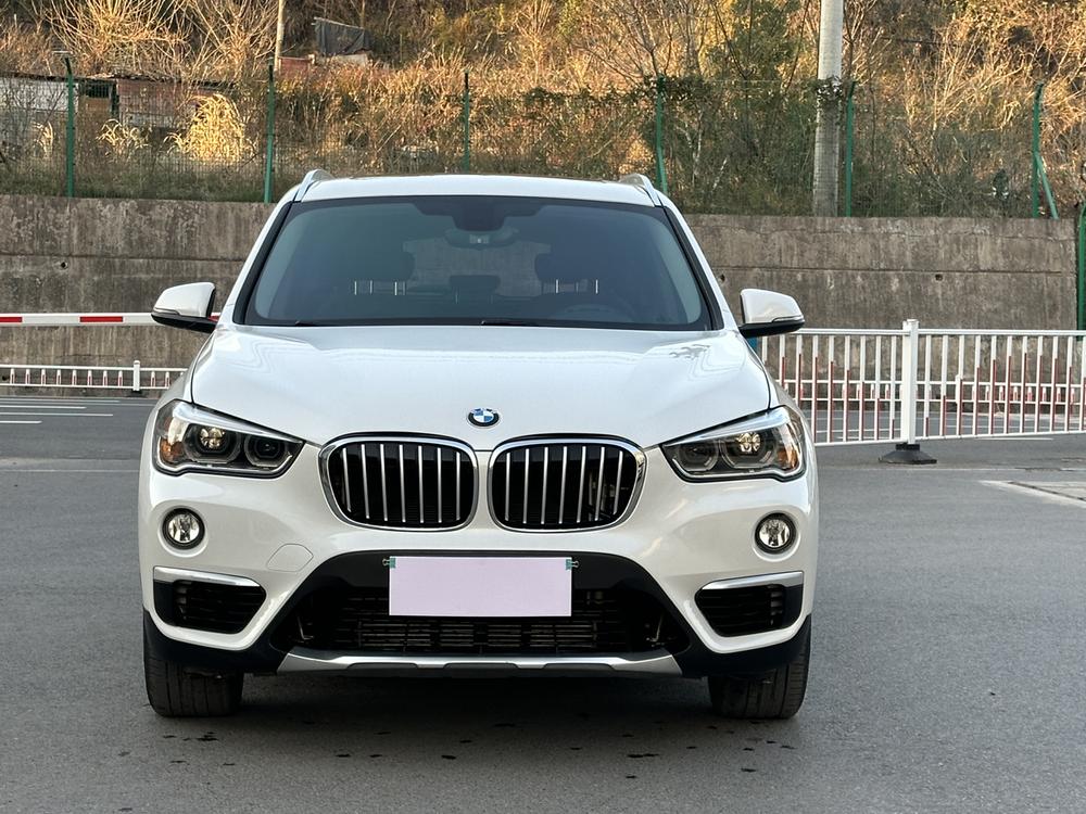 BMW BMW X1