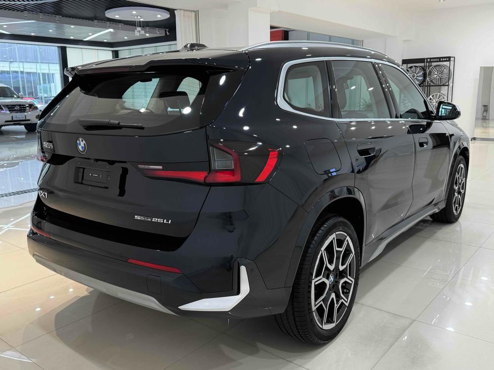 BMW BMW X1