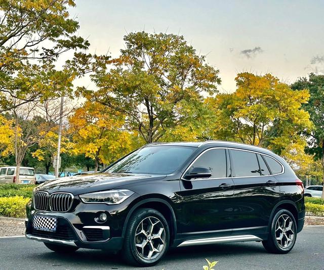 BMW BMW X1