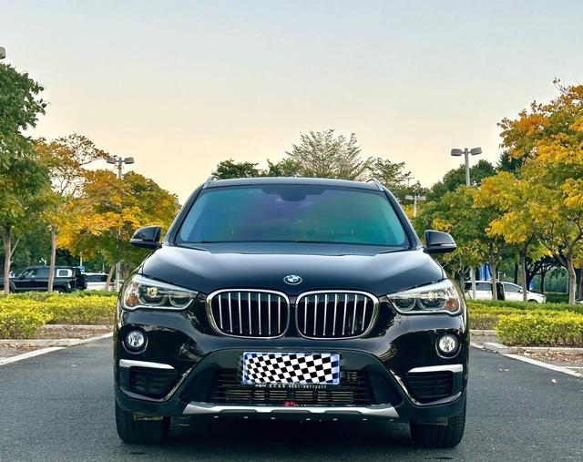 BMW BMW X1