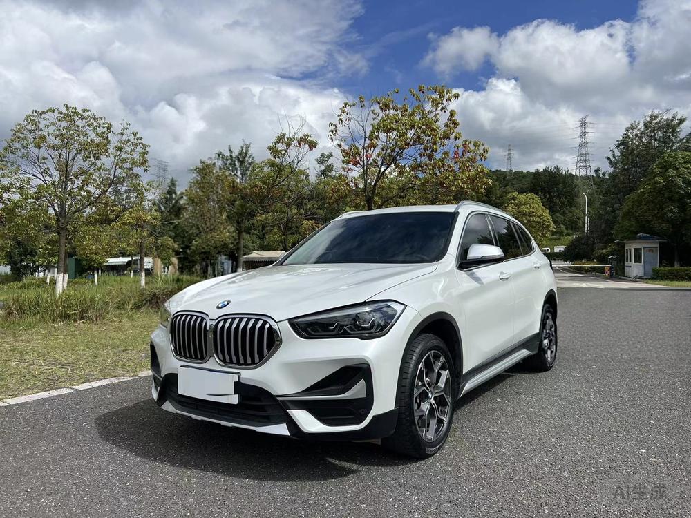 BMW BMW X1