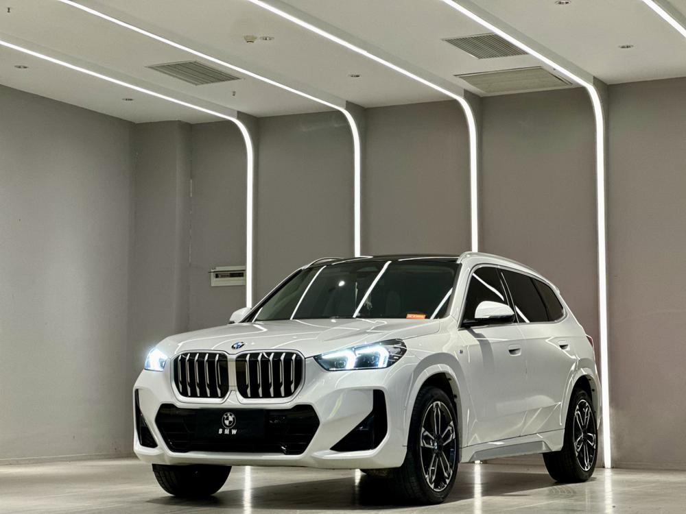 BMW BMW X1