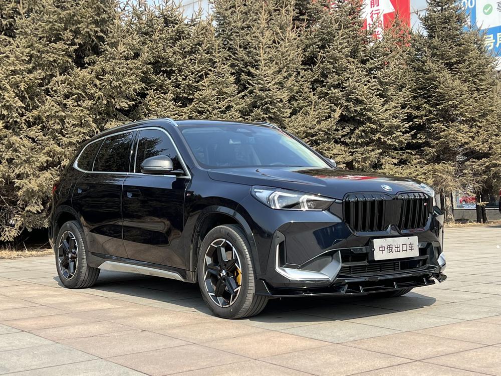 BMW BMW X1