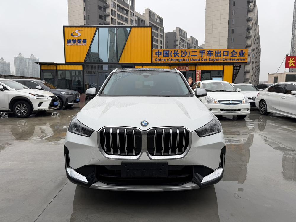 BMW BMW X1