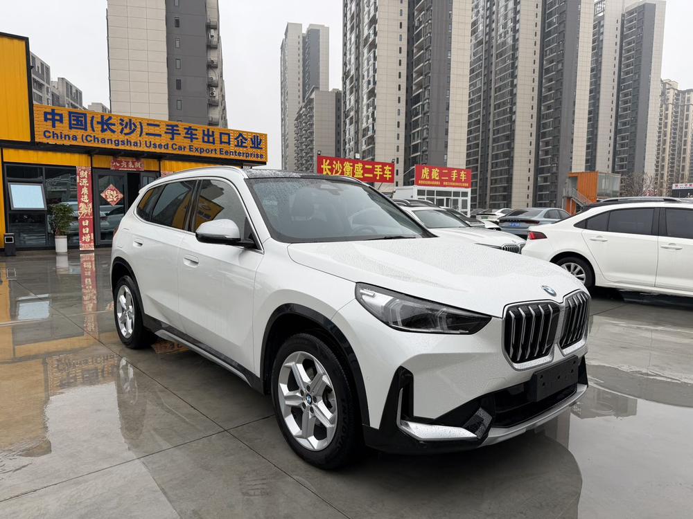 BMW BMW X1
