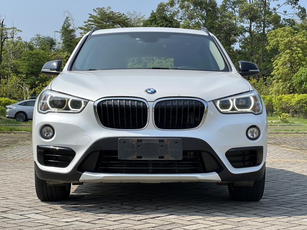 BMW BMW X1