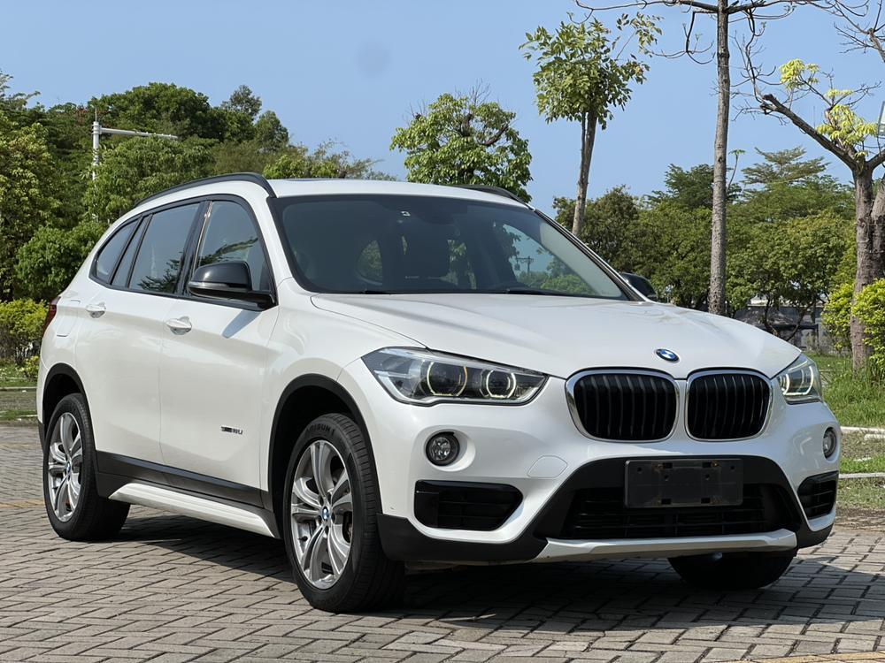 BMW BMW X1