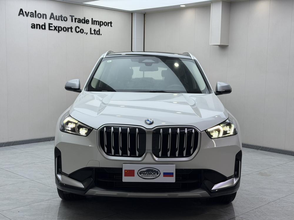 BMW BMW X1