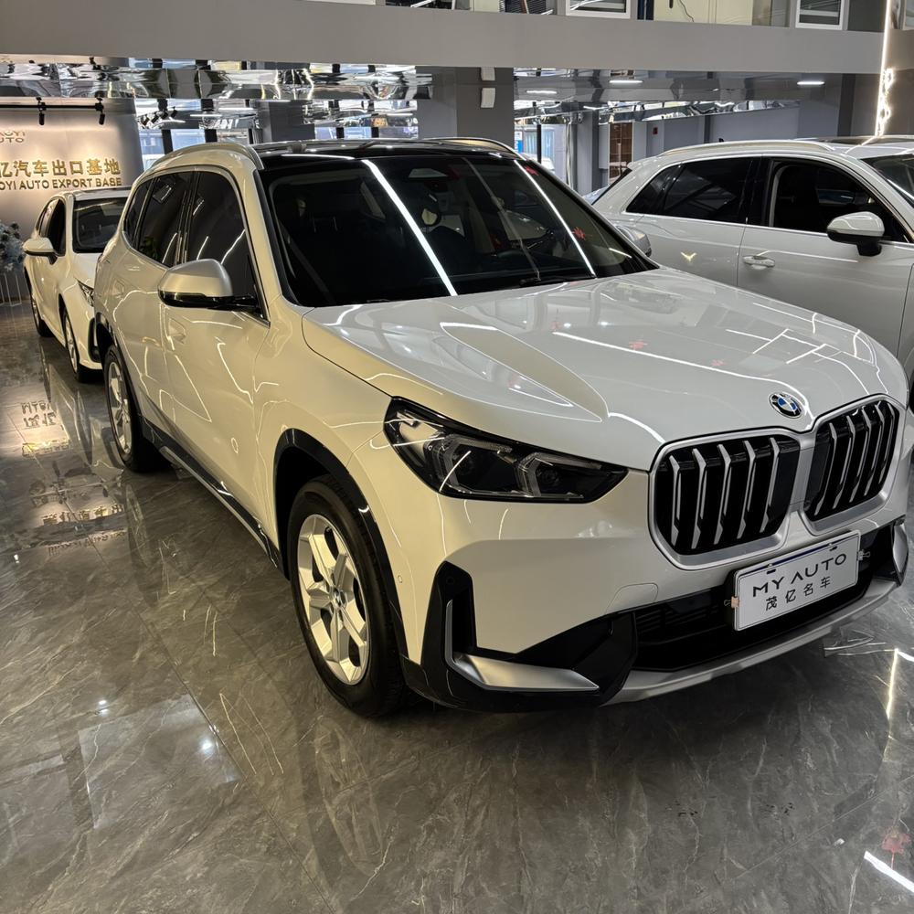 BMW BMW X1