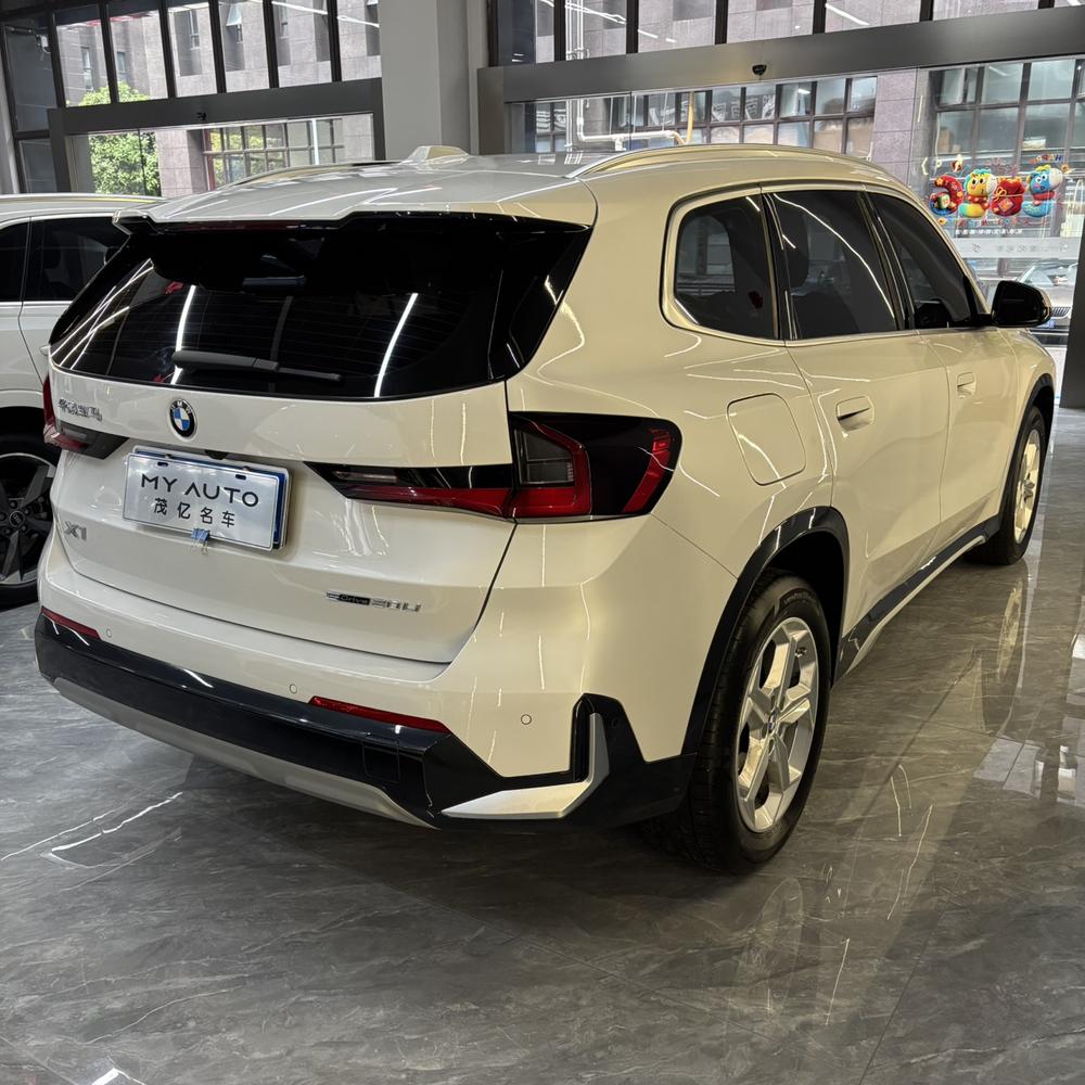 BMW BMW X1