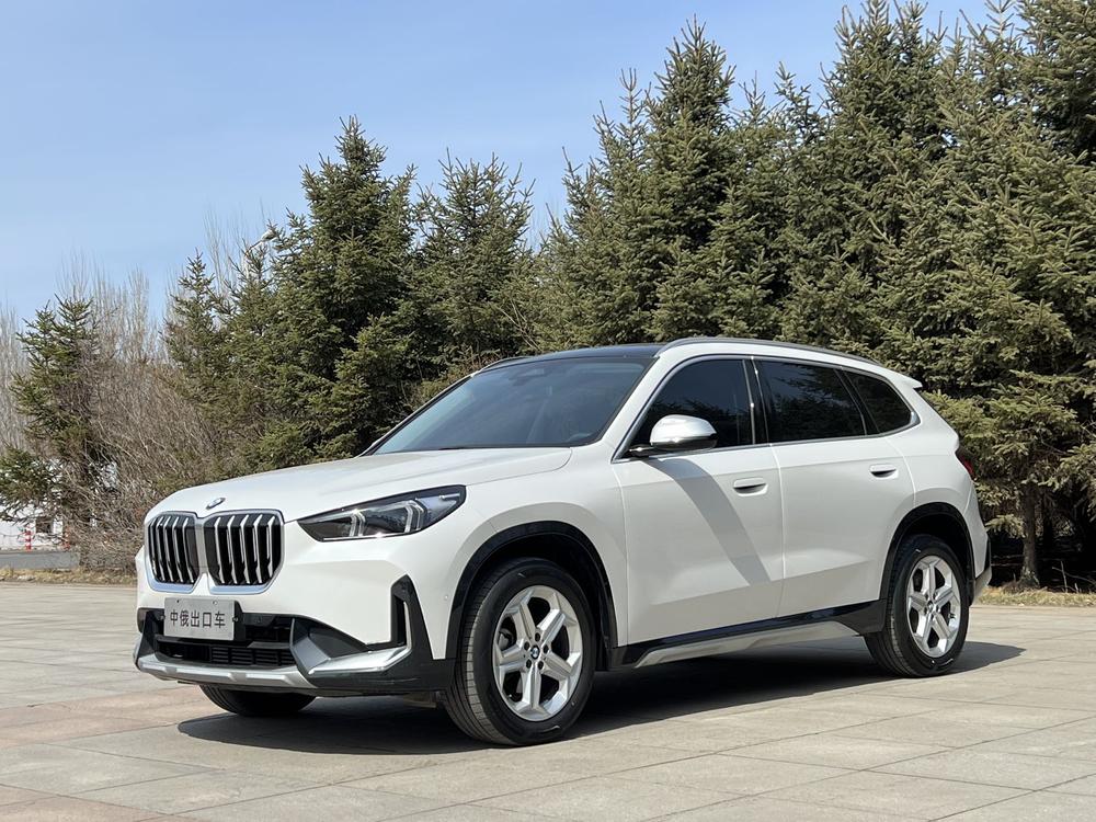 BMW BMW X1