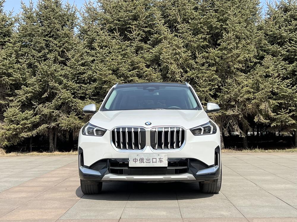 BMW BMW X1