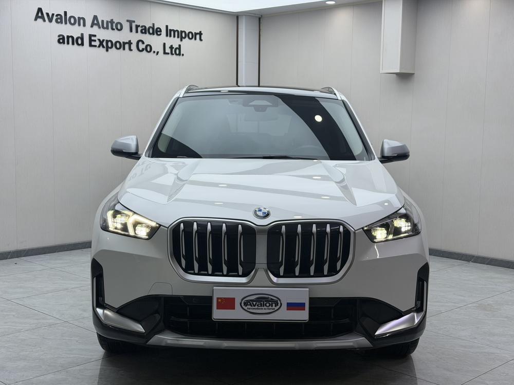 BMW BMW X1