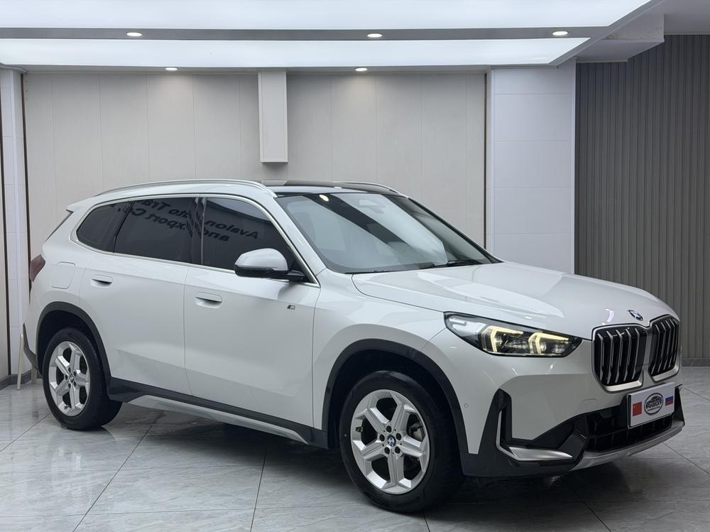 BMW BMW X1