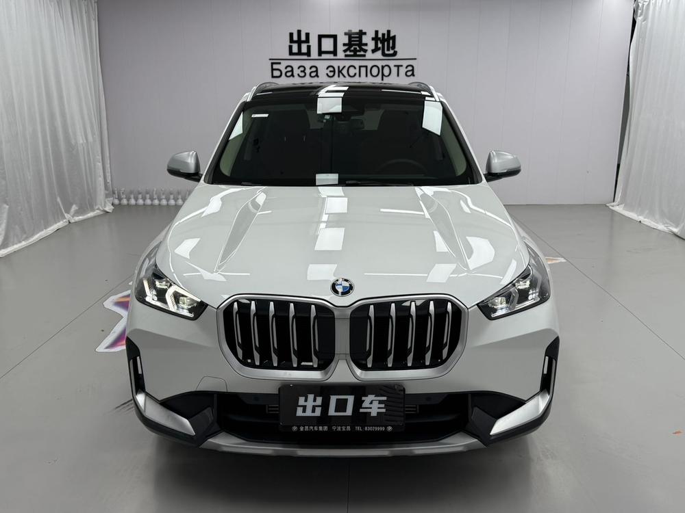 BMW BMW X1