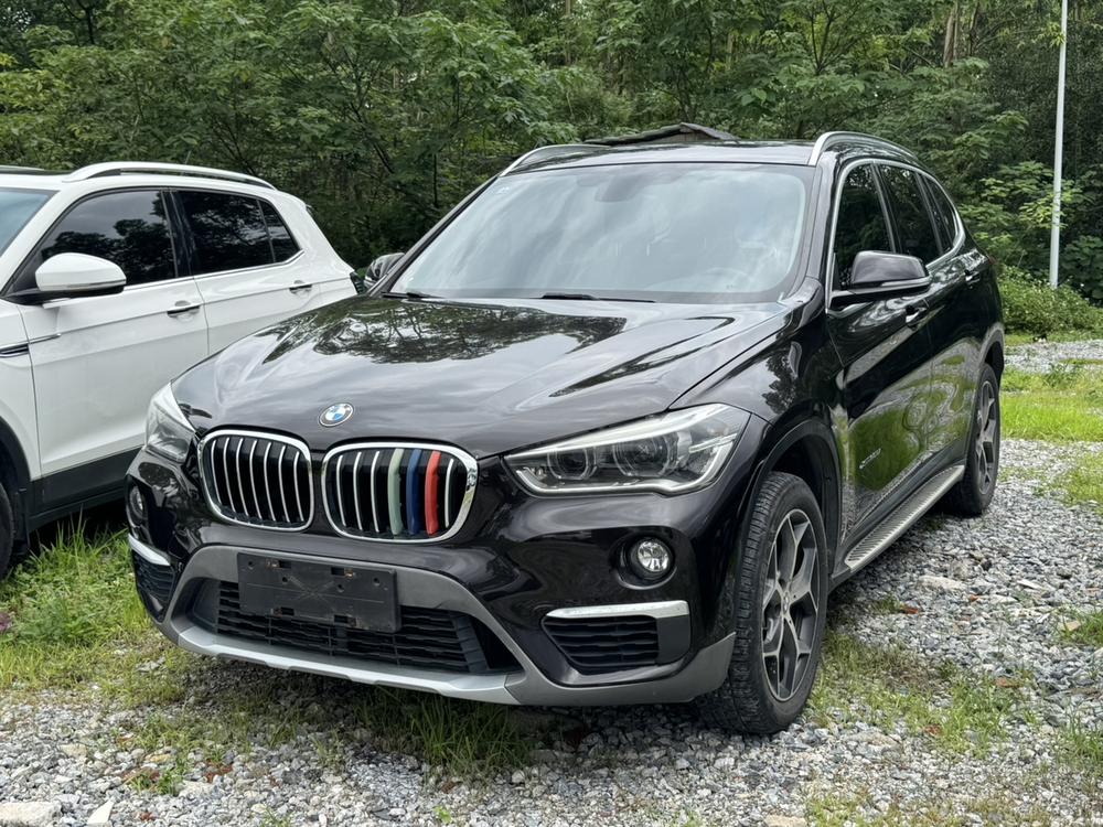 BMW BMW X1