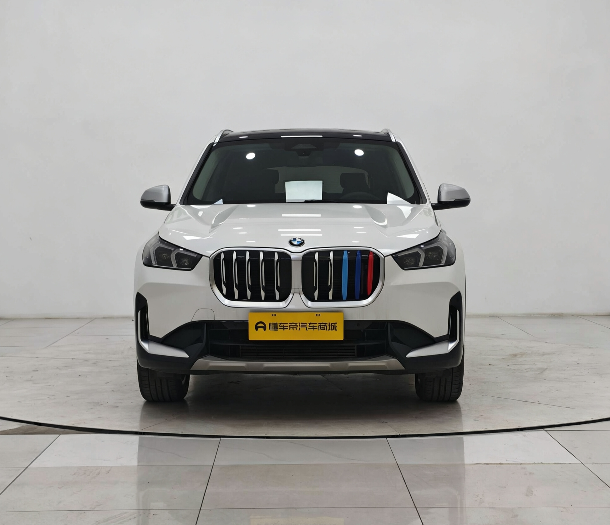 BMW BMW X1