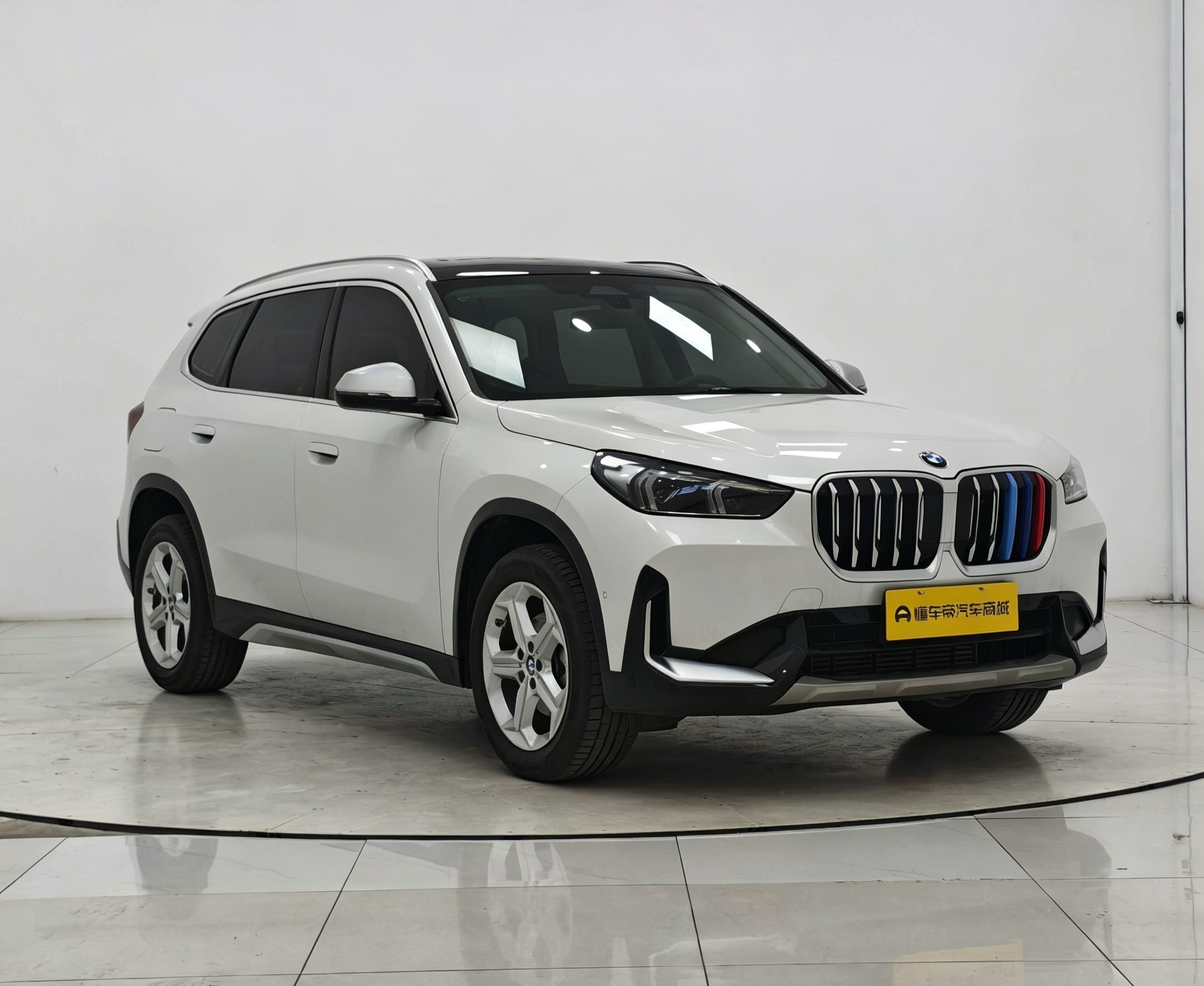 BMW BMW X1