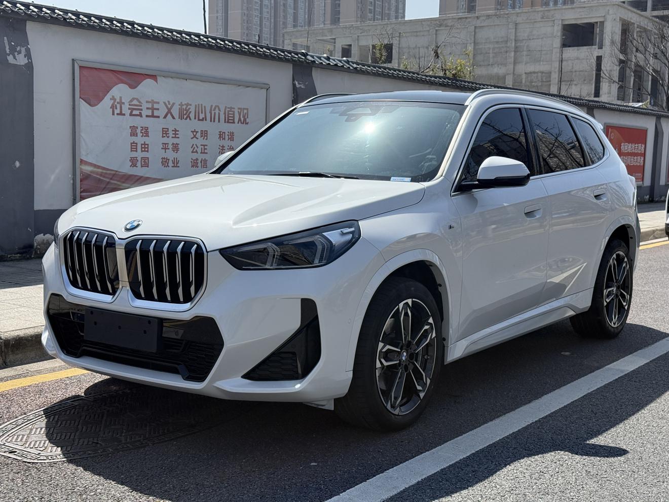 BMW BMW X1