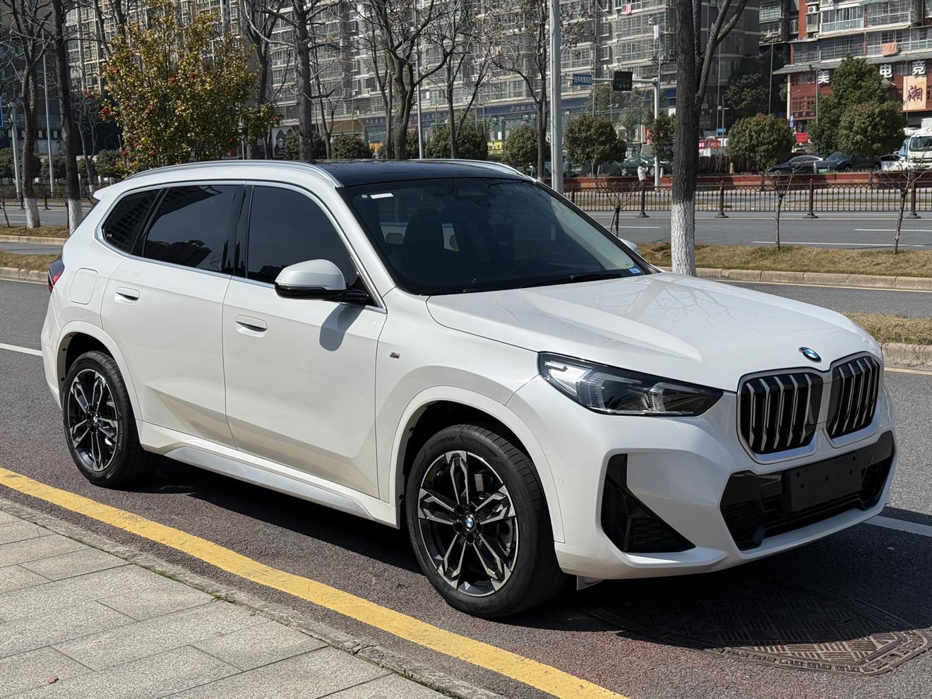 BMW BMW X1