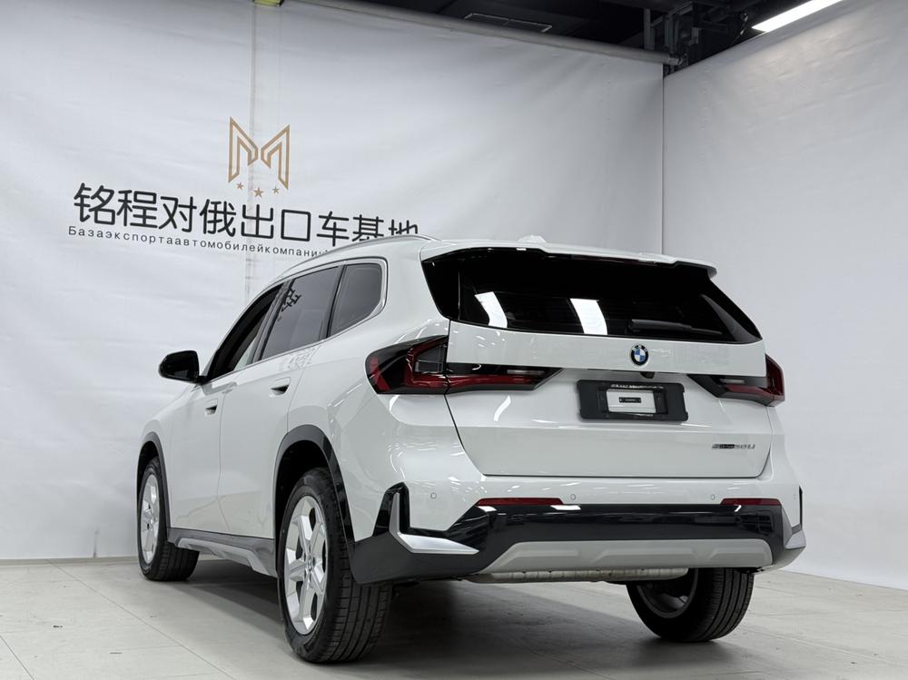 BMW BMW X1