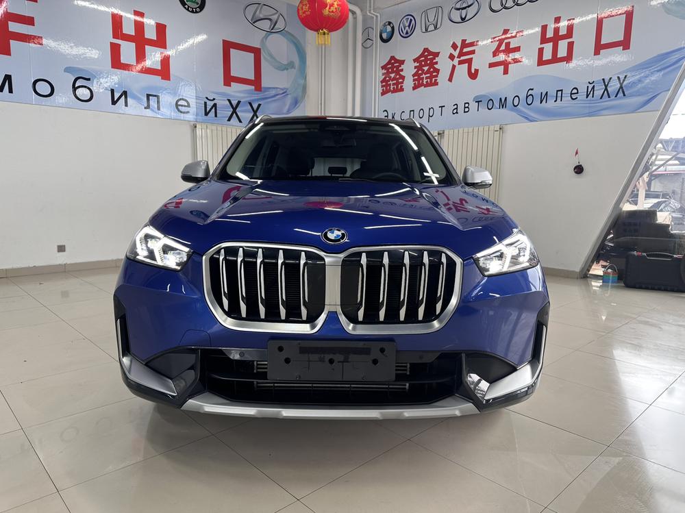 BMW BMW X1