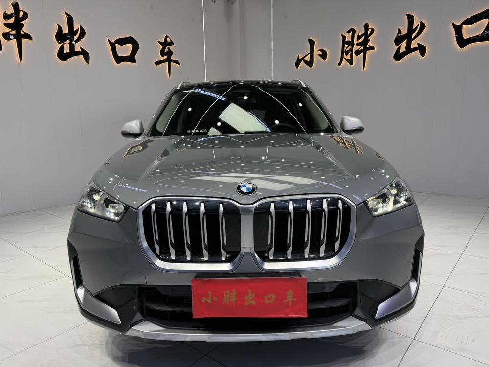 BMW BMW X1