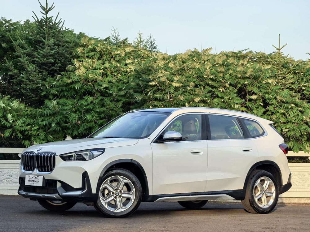 BMW BMW X1