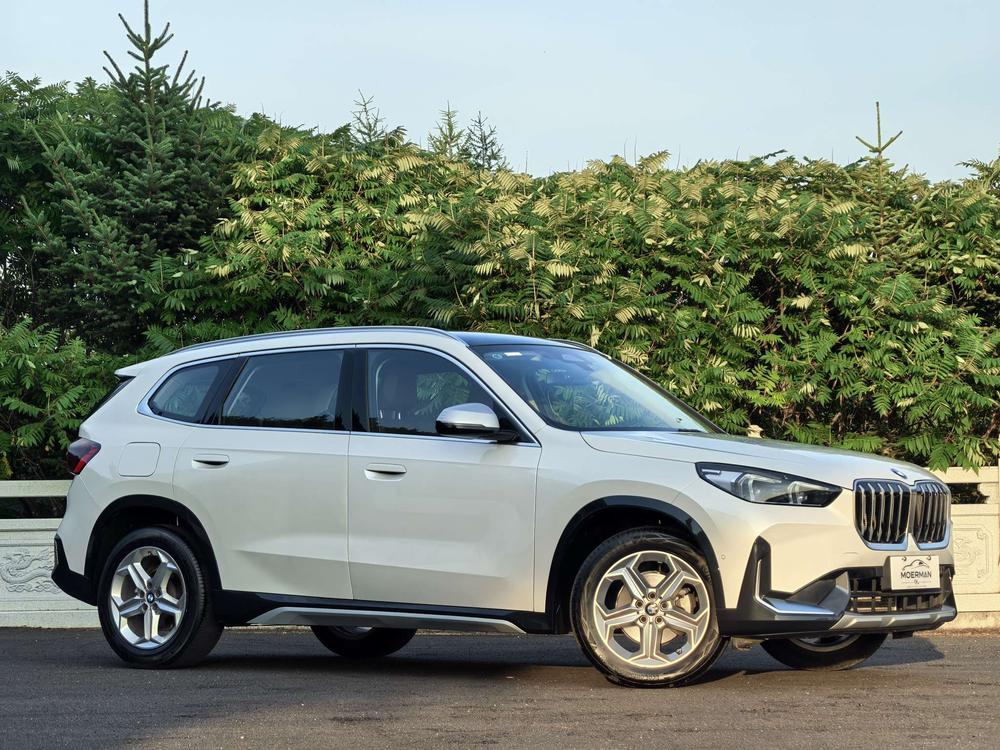 BMW BMW X1