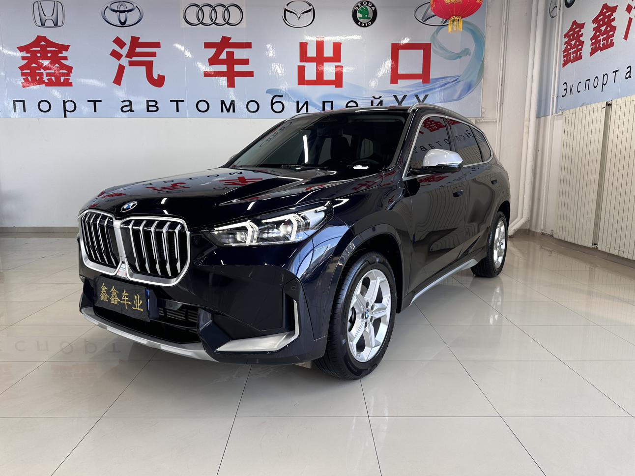 BMW BMW X1