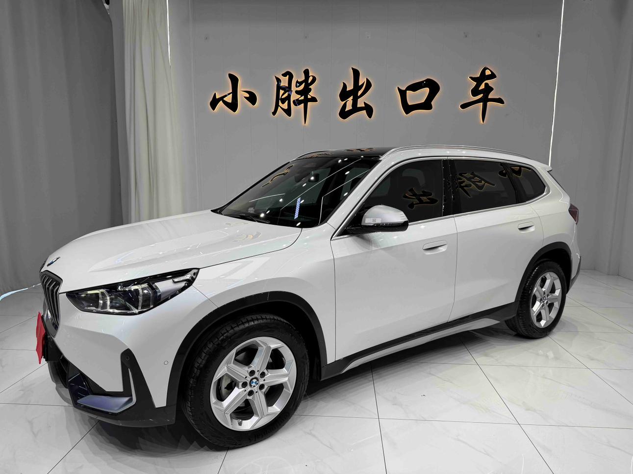 BMW BMW X1