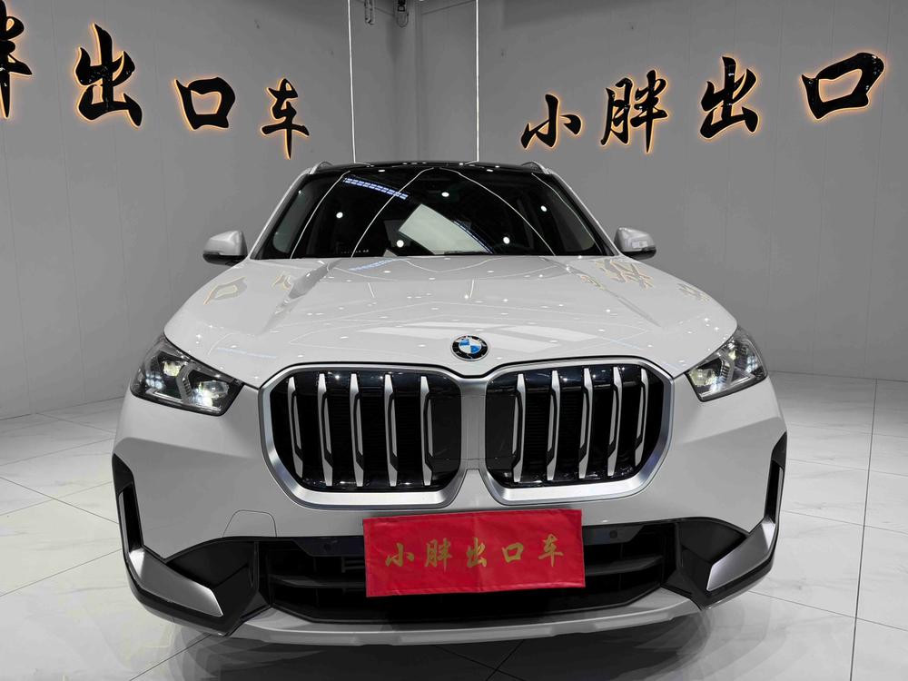 BMW BMW X1