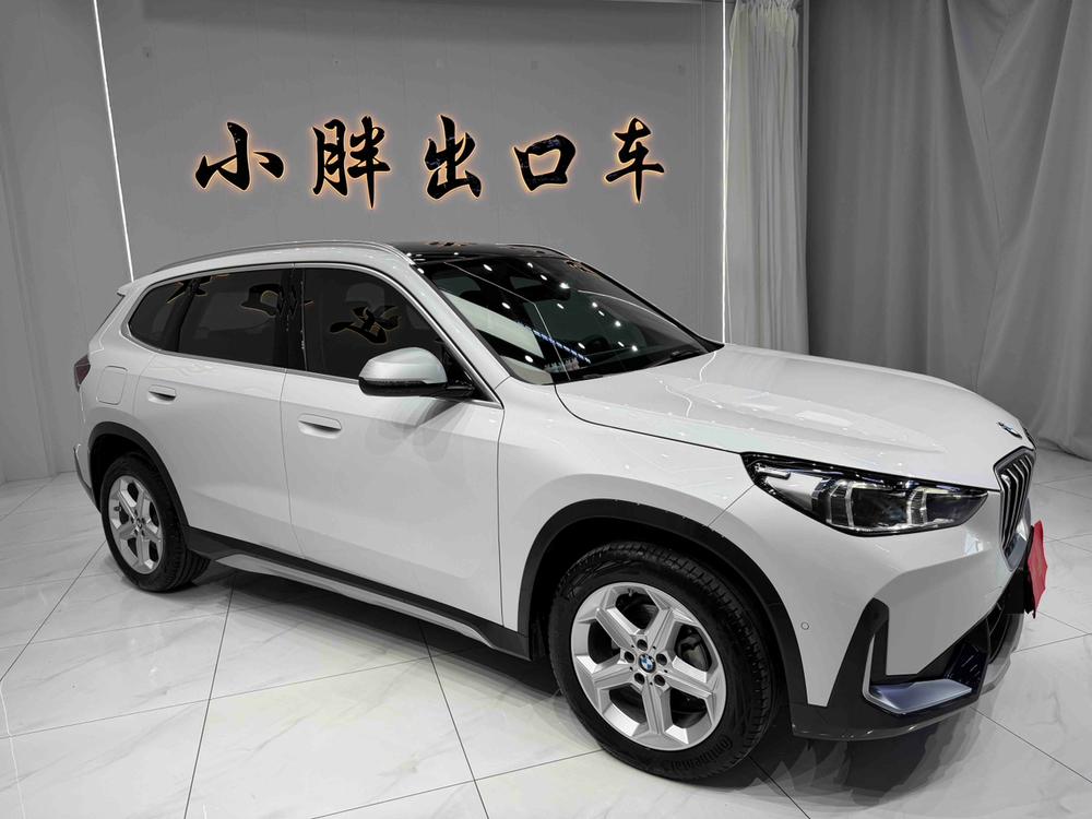 BMW BMW X1