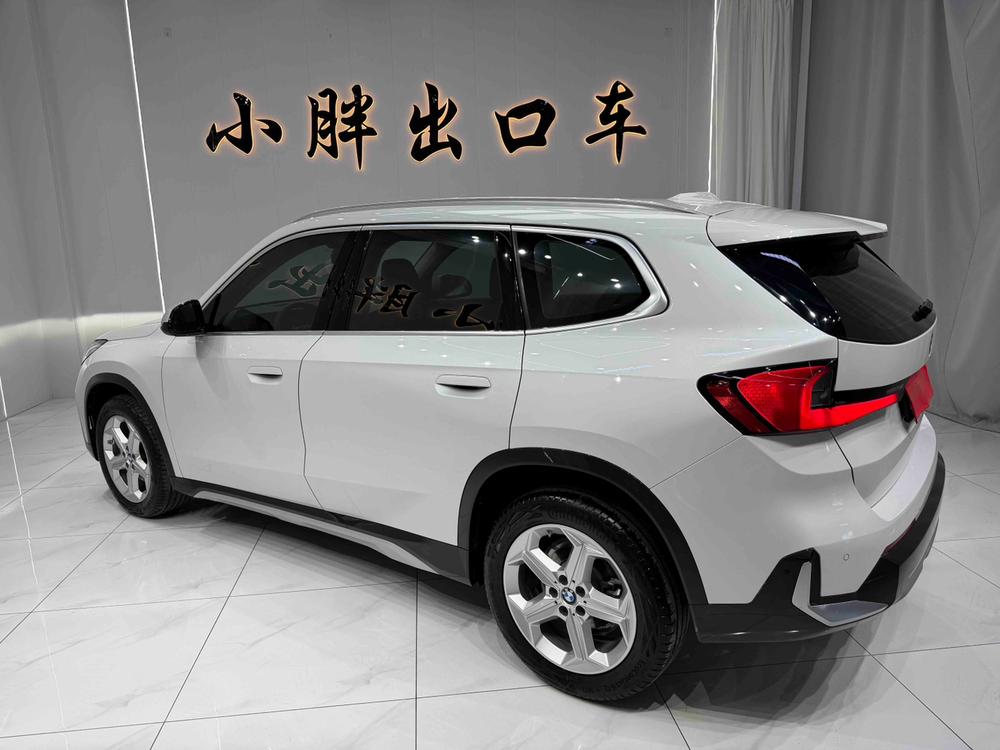 BMW BMW X1