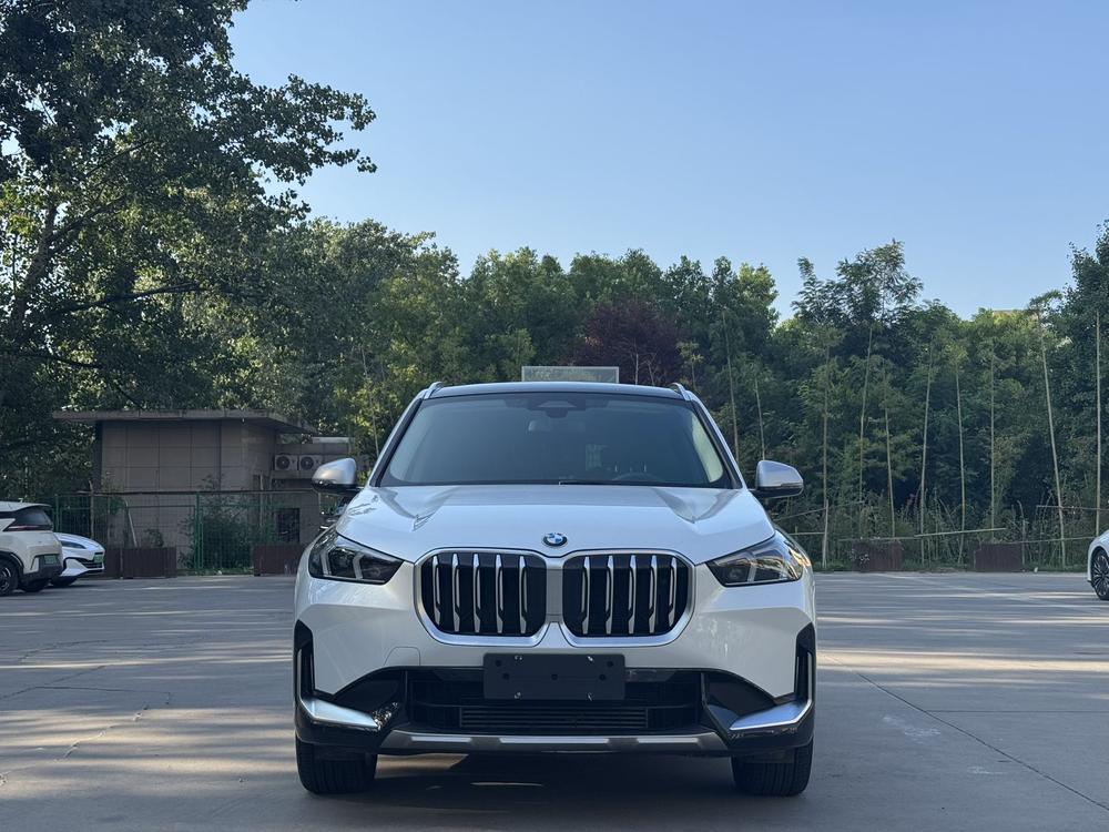 BMW BMW X1