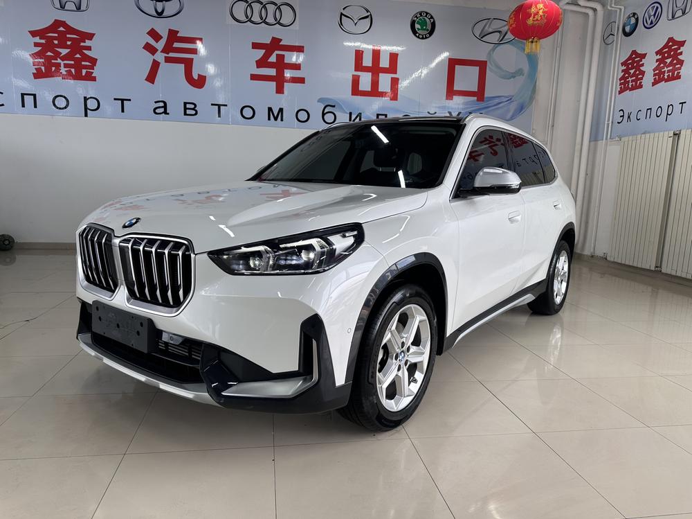 BMW BMW X1