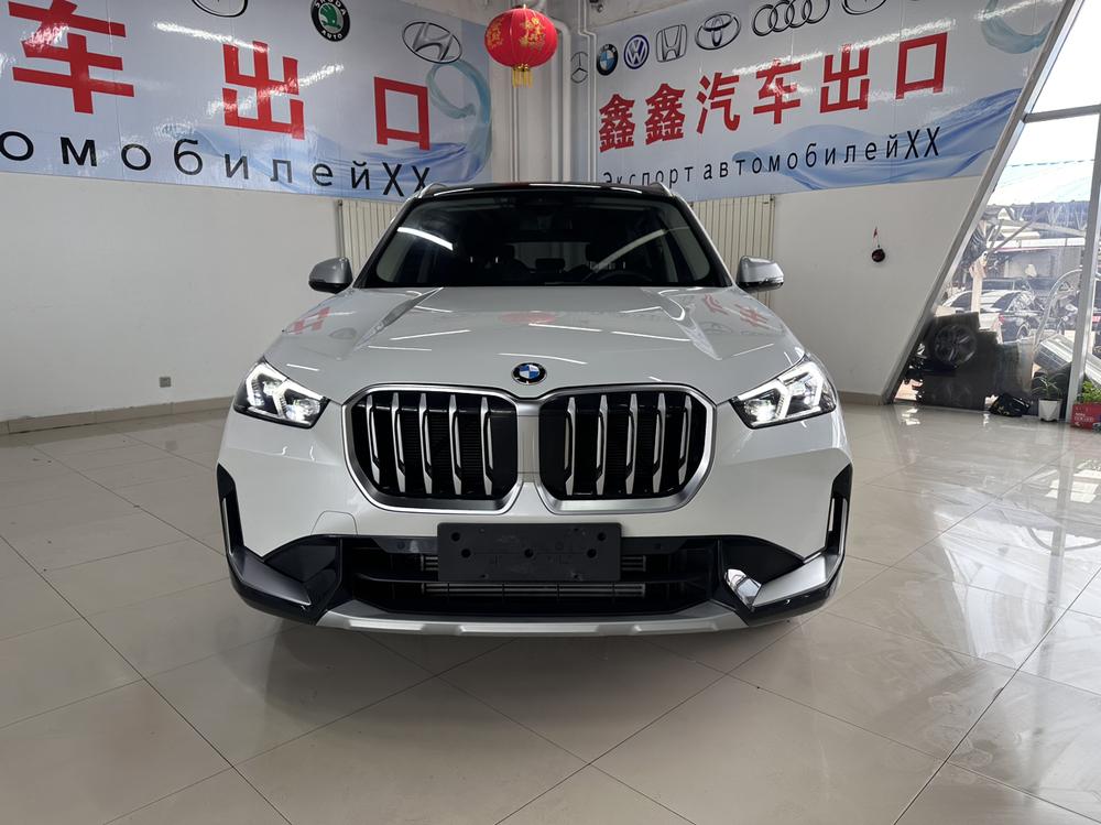 BMW BMW X1