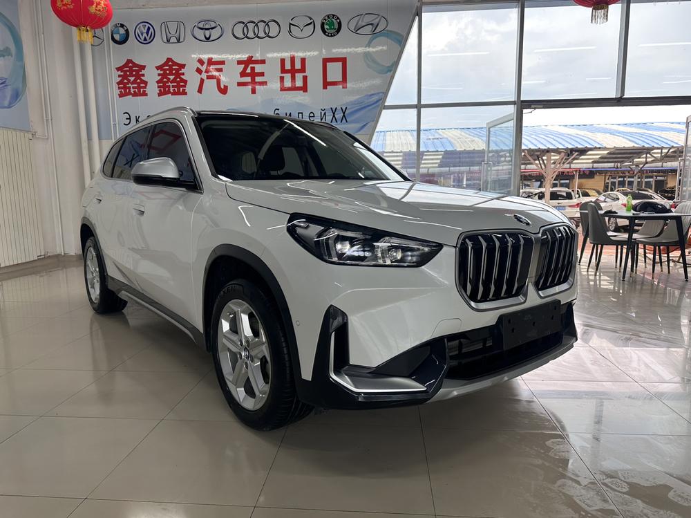 BMW BMW X1