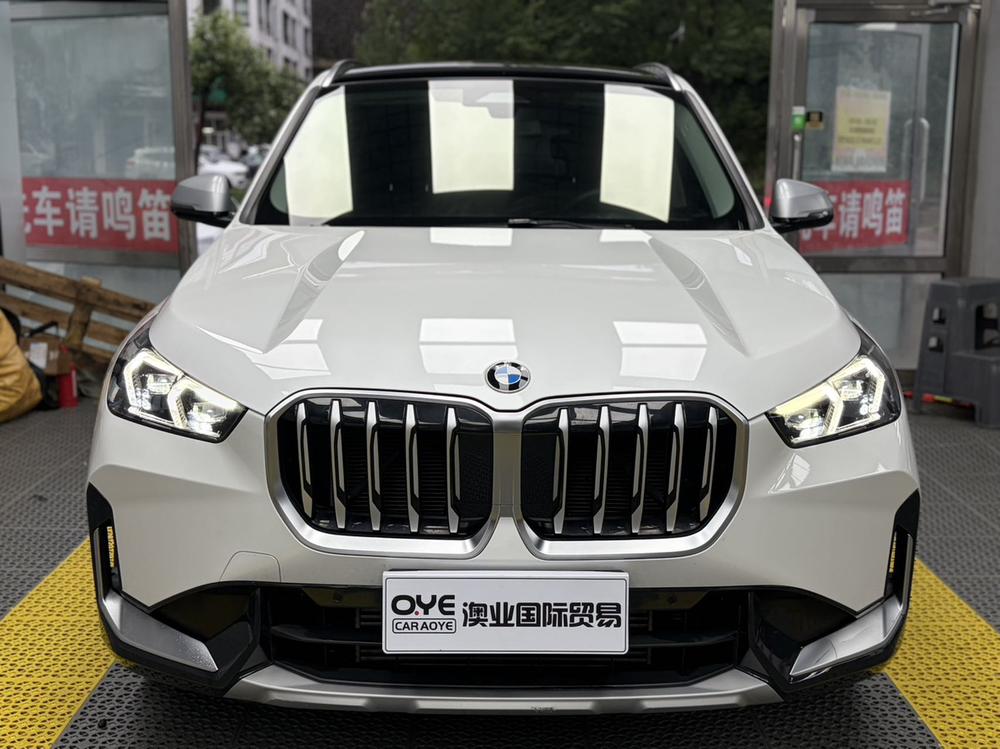 BMW BMW X1