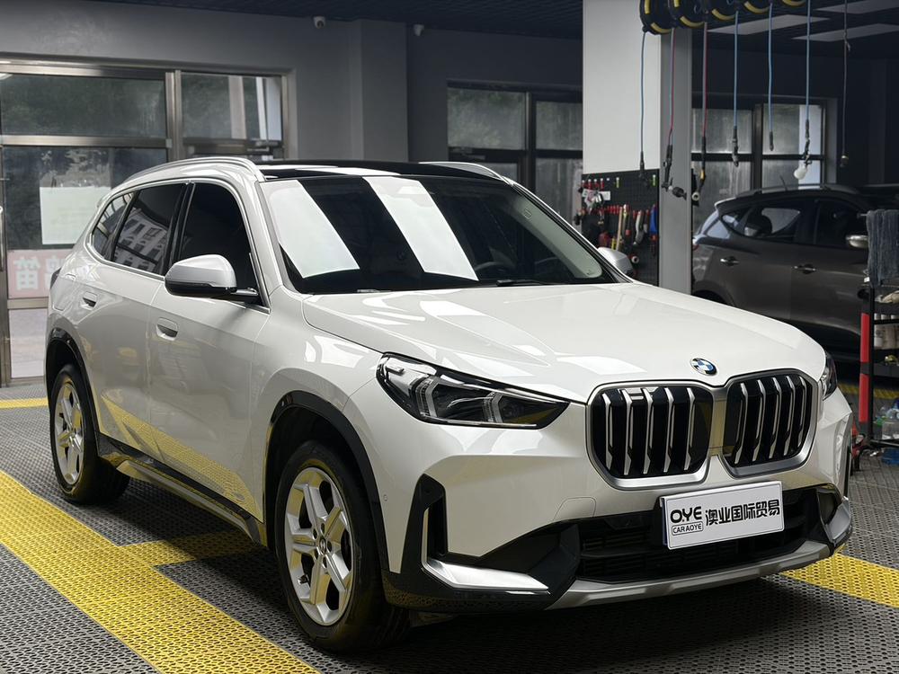 BMW BMW X1