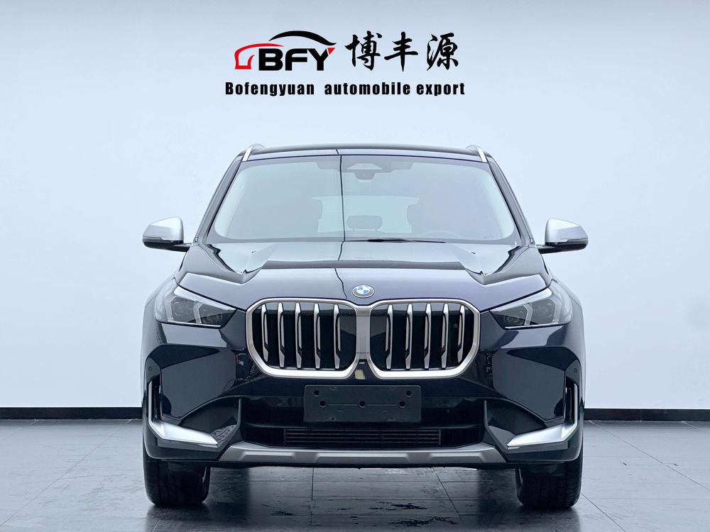 BMW BMW X1