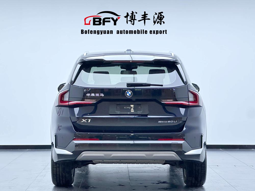 BMW BMW X1